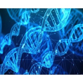 Material Cientifico e Diagnostico