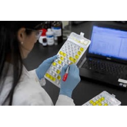 CARTELA QUANTI-TRAY 2000