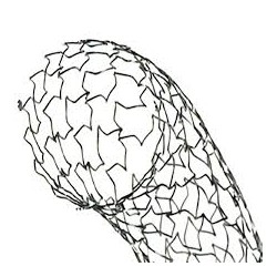 Linha de Stents Mediaid