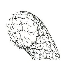 Linha de Stents Mediaid