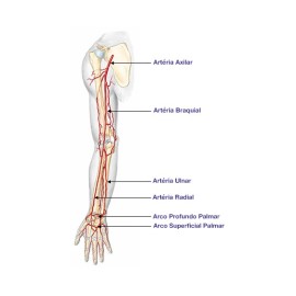Pressão Arterial Invasiva (PAI)